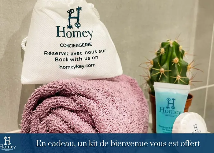 HOMEY KEOLA - Parking privé gratuit - Aux portes de Genève - Au pied du tram - Appartement avec 1 chambre et un grand salon avec un canapé-lit